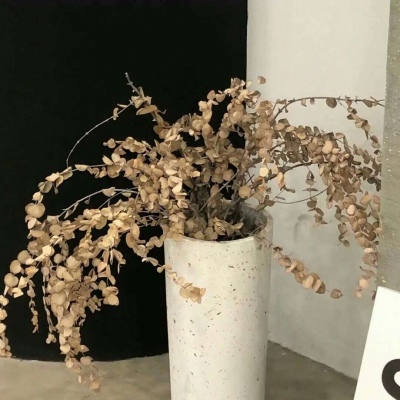 林周FurryQQ群介绍